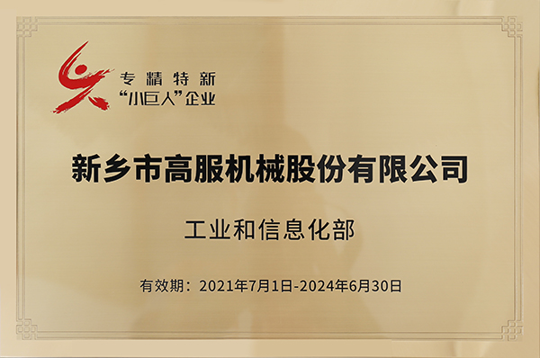 2020年，入選“國家級專精特新小巨人”企業